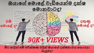 Check Which Side Of Your Brain Dominants - Sinhala