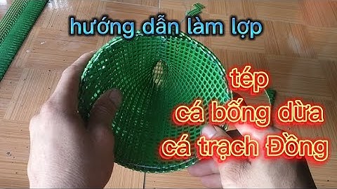 hướng dẫn làm lợp tép, cá bống dừa, cá trạch Đồng