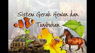 Sistem gerak pada hewan dan tumbuhan ...
