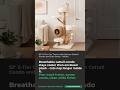 52" 5-Tier Cat Tower with Woven Cattail Condo and Jute Posts - White — Expert Insight | CatsPlay
