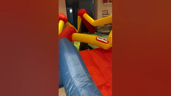 Mystery Item  - Bouncy Case