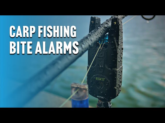 Carp Fishing BITE ALARM Beginners Guide 