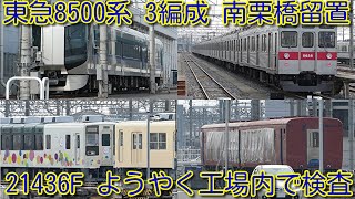 【東急8500系 3編成(8616F 8631F 8628F) 南栗橋留置。20400系 21436F工場内で検査開始】東武500系 507F入場、14系客車 スハフ14-1、オハ14-1工場内検査中