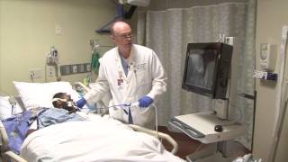 Finding the Transgastric Short Axis View (TGSAV) : hTEE by ImaCor