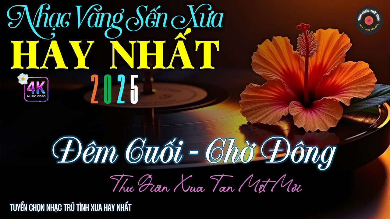 Nhạc TÌNH CA BOLERO Trữ Tình HAY NHẤT, ĐỘC LẠ 2025 - Nhạc Vàng Sến Xưa Chọn Lọc CỰC ÊM TAI DỄ NGHE