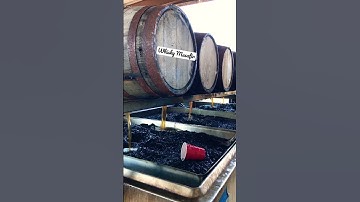 Best Filtering Process//  #whisky #filter #distillery #whiskytrail #scotch #singlemaltwhisky #wm