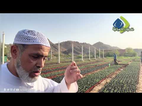 لقاء مع الناشط البيئي والمهتم الاول بالخليج العربي لزراعة شجرة الغاف سالم بن سلطان القايدي