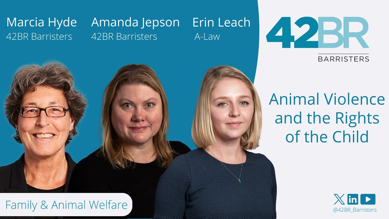 Animal Violence and the Rights of the Child