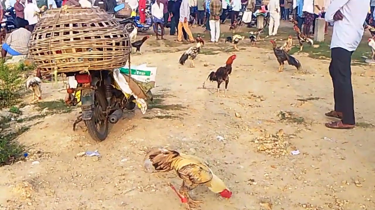 Nallapadu natukolla market @friday market