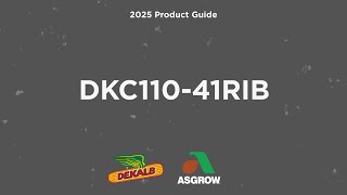 DKC110-41RIB