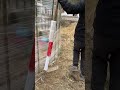 Putting a stick in the middle of the protective film makes it easier to take! A unique fen#e74c5