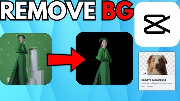How to Remove Background in CapCut - Step by Step Guide