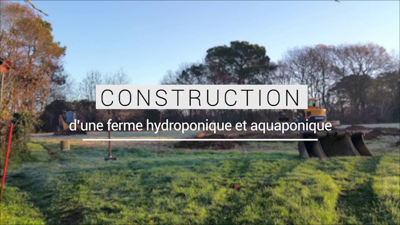 Construction d'une ferme aquaponique et hydroponique en France