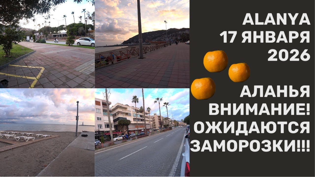 ALANYA ПРЕДУПРЕДИЛИ ПРО ЗАМОРОЗКИ 17 ЯНВАРЯ 2026 АЛАНЬЯ