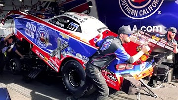 Phoenix Video Highlights