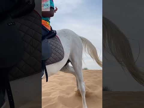 Desert Vlog subscribe help my channel grow #viral #dubai #makemefamous #desert #trending