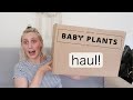 I SPENT £75 ON BABY PLANTS | Online Baby Plants Haul