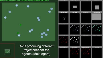 Exploring Multi-Agent Learning in StarCraft II