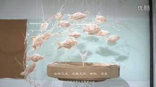 COHIM window display design