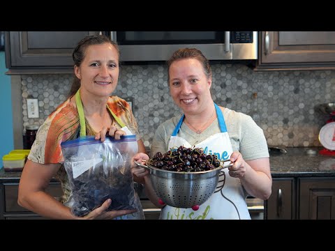 How to Freeze Cherries; Long Term Food Preservation