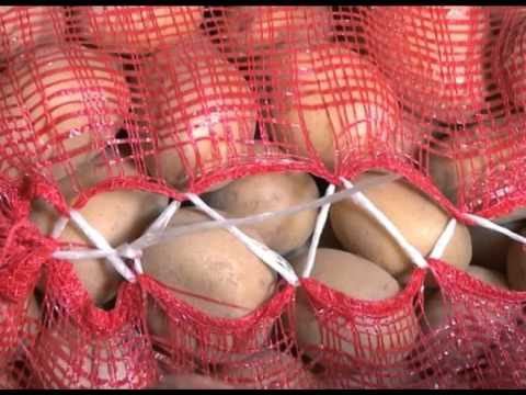 ფერმერები კარტოფილის მოსავლის ხარისხსა და სიმცირეზე ჩივიან