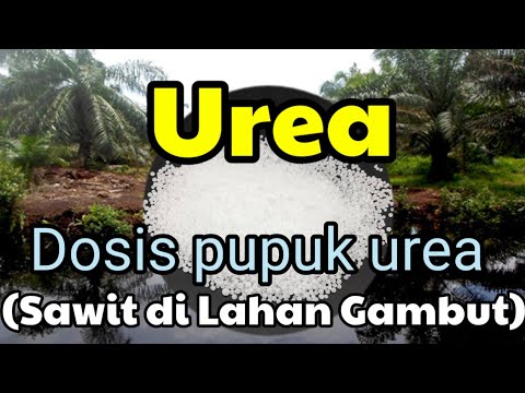 Video: Oksidat Gambut: Petunjuk Penggunaan Oksida Gambut Universal Dan Tingkat Konsumsinya, Komposisi, Cara Mengencerkan Pupuk Untuk Tomat