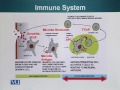 BIO734 Advances in Cell Biology Lecture No 66