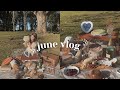 june vlog ♡ picnics, poop smoothie + birthday week | a slice of judy ep.1