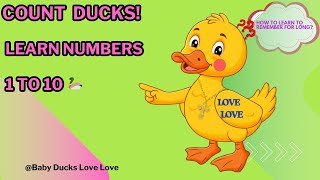 Count Ducks Learn Numbers 1 To 10