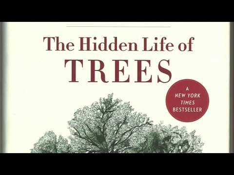 The Hidden Life of Trees Chapter One: Friendships