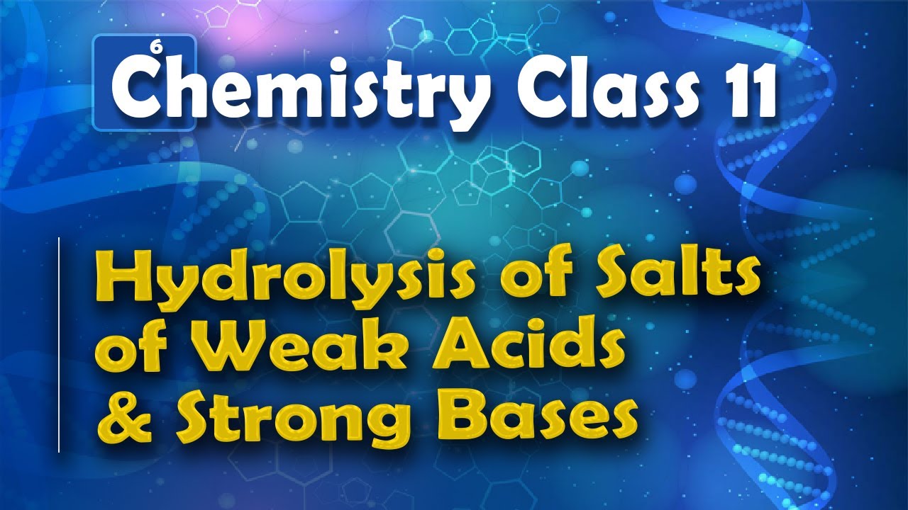 Hydrolysis of Salts of Weak Acids and Strong Bases - Chemical Equilibrium - Chemistry Class 11