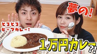【1皿1万円?!】ホテル級のビーフカレー作ってみた！！！