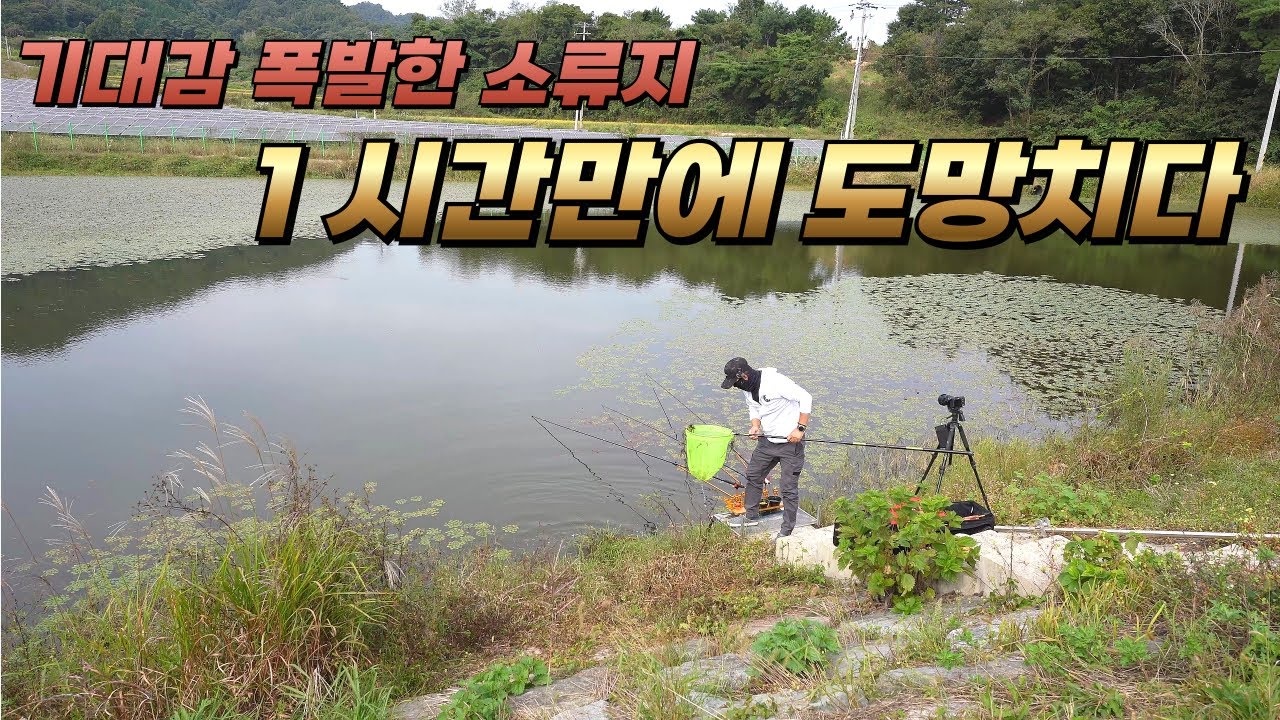 처음 가본 소류지// 1시간만에 도망치다// 여기 가지 마세요#fishing #붕어낚시