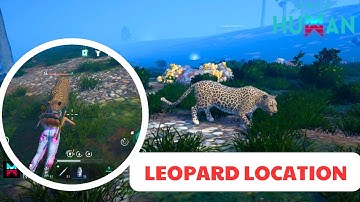Leopard Location In Once Human - New Update