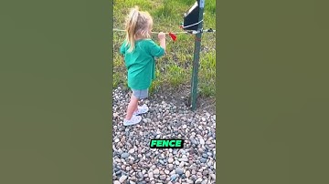 The Shocking Truth Behind Electric Fences! ⚡