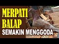 MERPATI KOLONG KJB KOTA BINTANG LATIHAN BERSAMA