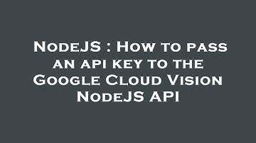 NodeJS : How to pass an api key to the Google Cloud Vision NodeJS API
