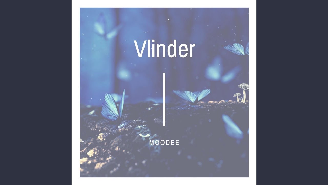 Watch Vlinder on YouTube Watch Vlinder on YouTube