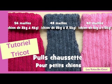 Vidéo: Comment Tricoter Des Chaussettes Pour Chien