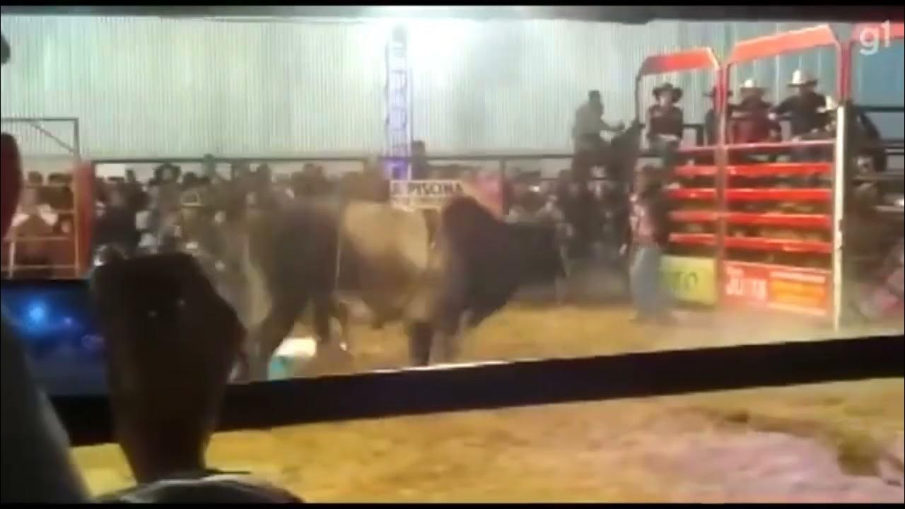 Peão morre após ser pisoteado por touro durante rodeio em Minas