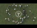 🎥  Tilda Success Stories: Tilda x Paralect