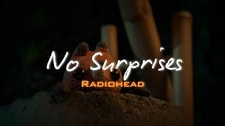 Radiohead - No Surprises | LETRA EN ESPAÑOL + INGLES | Edit: Lost & Found (Cortometraje)