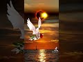 محبة الناس محبة الناس