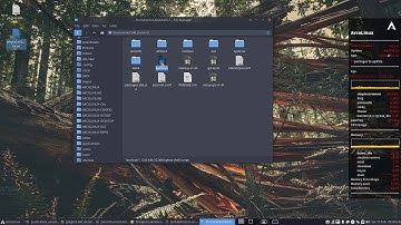 ArcoLinux : 1338 comparing Carli 4 with Arch Linux 2020 02 01