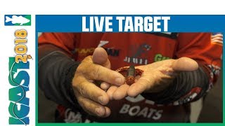 Best of Show ICAST 2018 Freshwater Soft Lure - LiveTarget Hollow Body Crawfish Jig | iCast 2018 screenshot 2