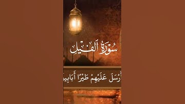 #اكسبلور #المصحف #قرآن #لايك سورة الفيل