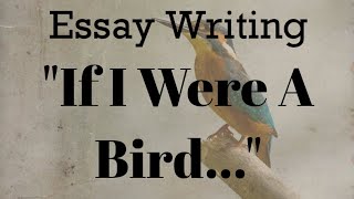 Essay "If I Were A Bird..." #english #essay #essaywriting #englishgrammar #imaginative #paragraph