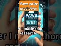 paws Airdrop price prediction #pawsairdrop #paws #crypto #airdrop #airdropalert #airdrop2025