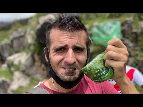 Video: Cel Mai Bătrân Locuitor Al Pământului Mestecă Frunze De Coca și Iubește Plimbările - Vedere Alternativă
