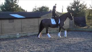 Felix Walk Work - For Sale